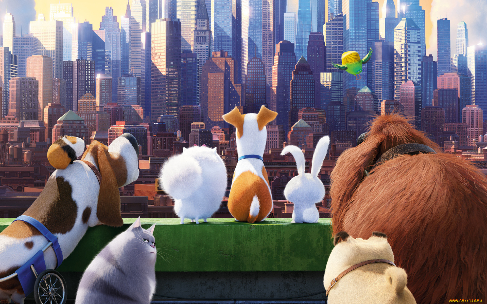 , the secret life of pets, the, secret, life, of, pets